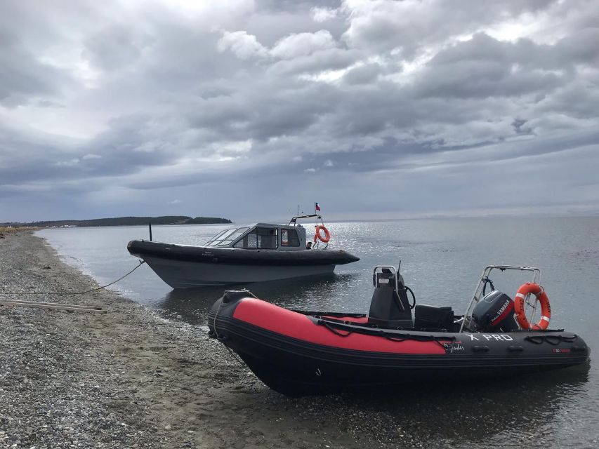 Punta Arenas: Dolphin & Wildlife Watching - A short outdoor snack stop