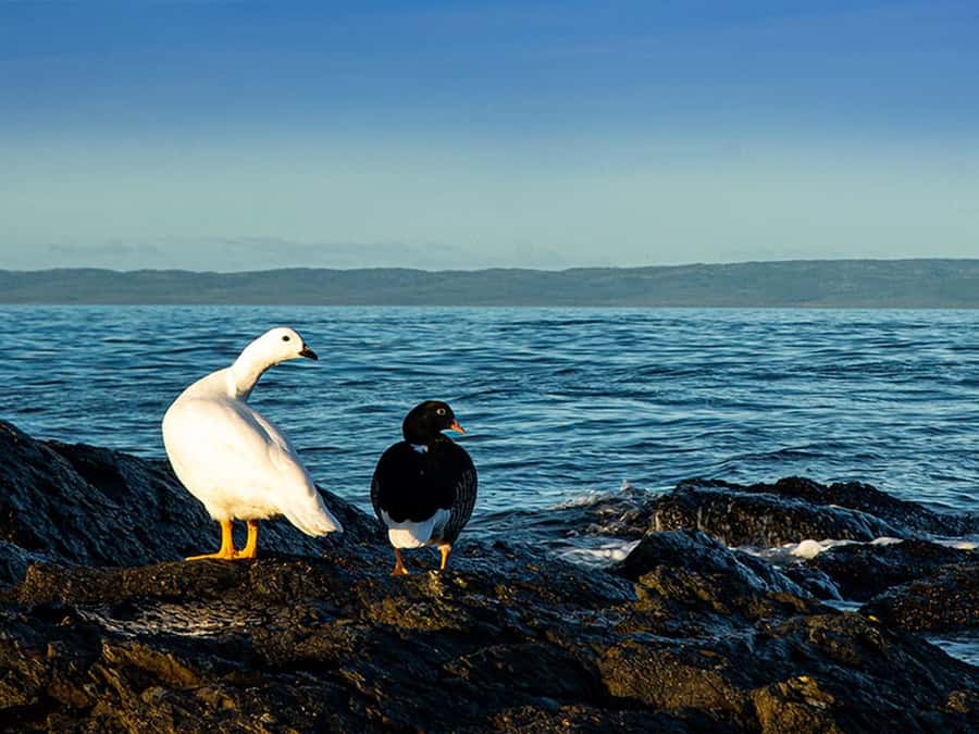 Punta Arenas: Fort Bulnes Historical Tour - Estrecho Park and the Strait viewpoint