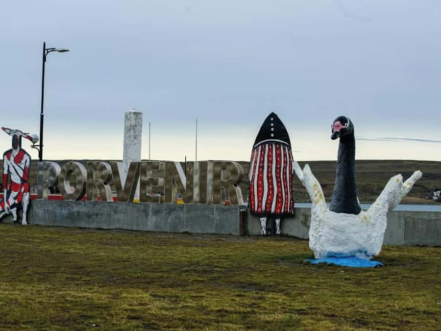 Punta Arenas: Full Day Tierra del Fuego & King Penguins - Key points before you book