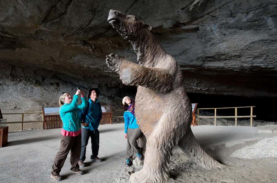 Punta Arenas: Full Day Torres del Paine + Milodon Cave - Torres del Paine’s big views in three hours