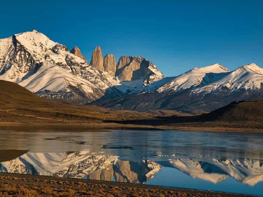 Punta Arenas: Full-Day Torres del Paine Tour - Key points to know before you book