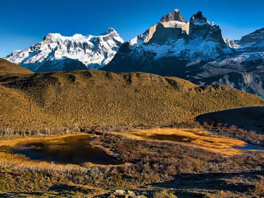 Punta Arenas: Full-Day Torres del Paine Tour - Milodon Cave and the Ultima Esperanza area