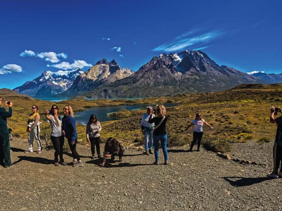 Punta Arenas: Full-Day Torres del Paine Tour - Grey Beach and the icebergs by the shore