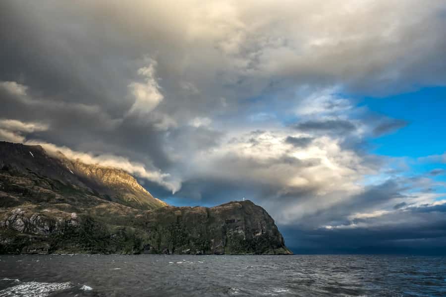 Punta Arenas: Full-Day Whales, Penguins, and Glaciers Tour - Three hours in Francisco Coloane Marine Park