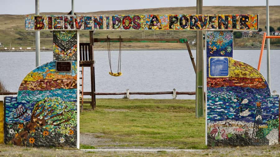 Punta Arenas: King Penguin Park and Tierra del Fuego Trip - Key points at a glance