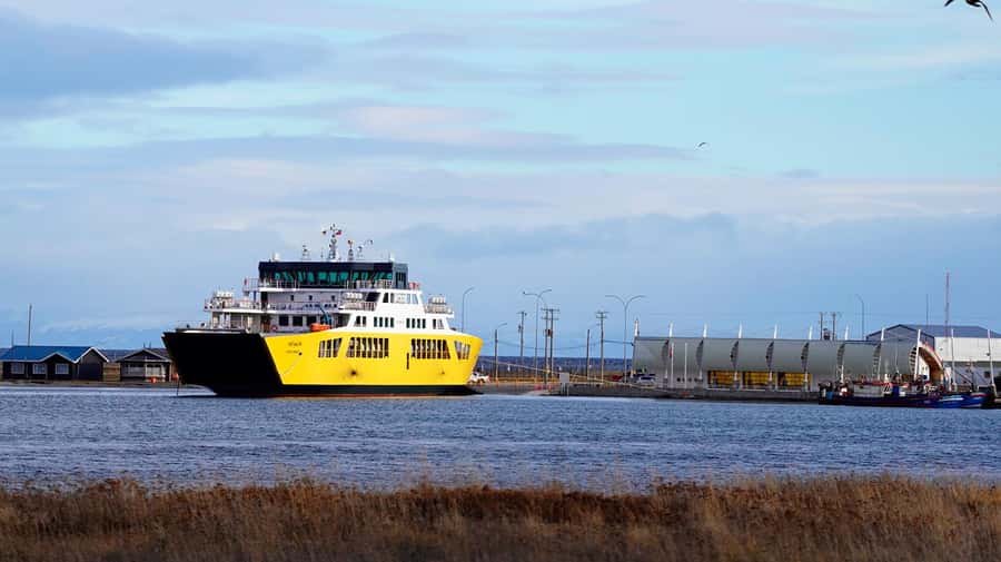 Punta Arenas: King Penguin Park and Tierra del Fuego Trip - What to bring for the ferry and park