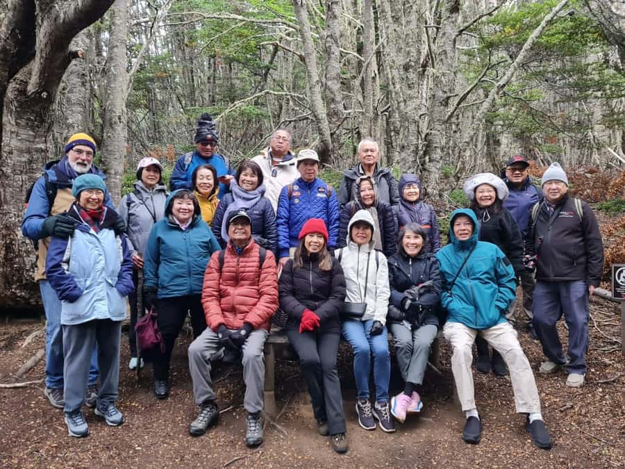 Punta Arenas: Magallanes National Reserve and City Tour - Booking, cancellation, and guide language