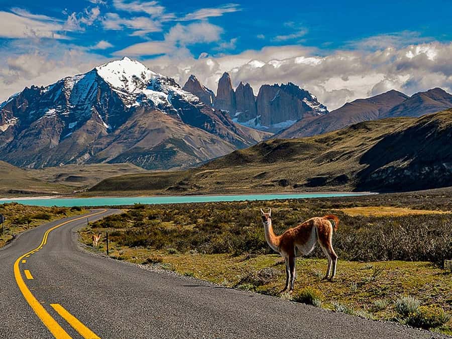 Punta Arenas: Torres del Paine & Grey Glacier Full-Day Boat - Why this day trip is really about the boat