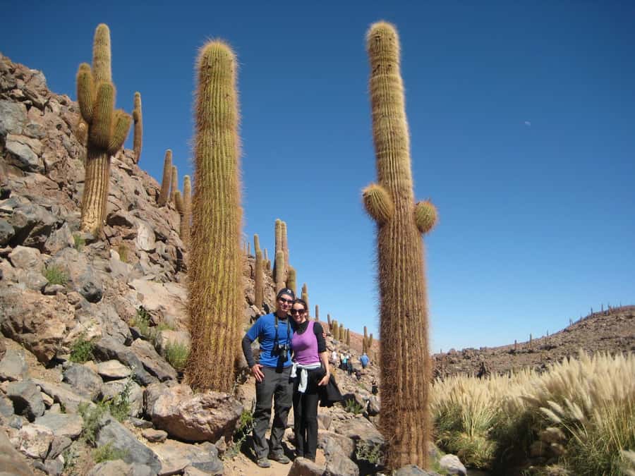 Purilibre Trekking - The Puritama pools: warm water, not a bubbling bath
