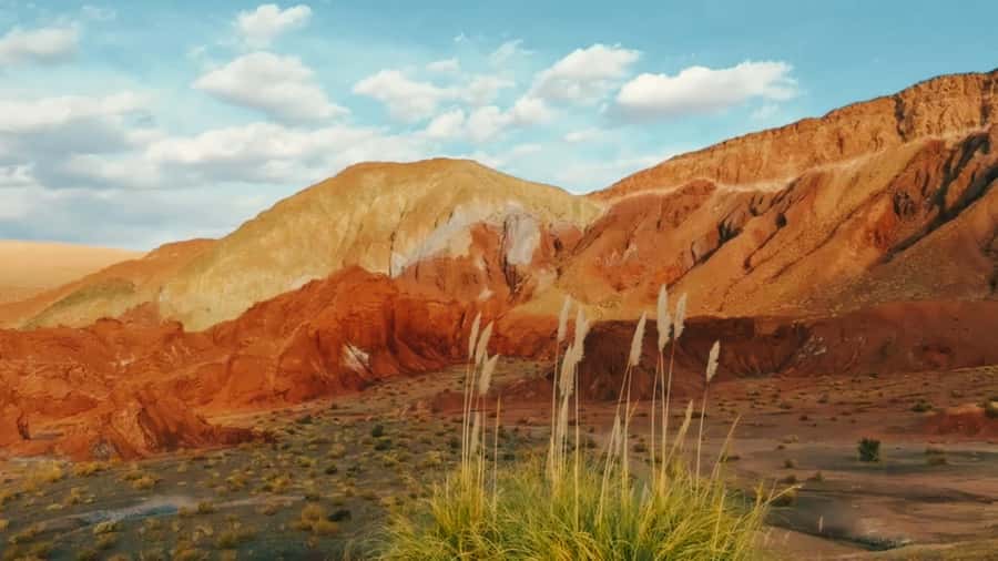 Rainbow Valley Tour: Mesmerizing Colors and Flavors - Leaving San Pedro de Atacama in a small van