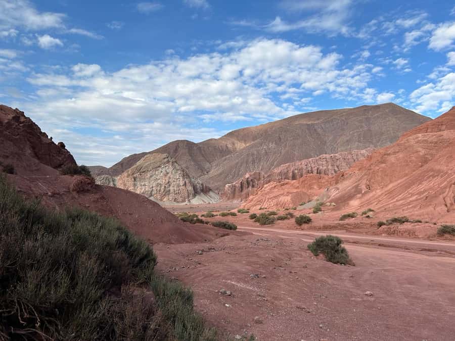 Rainbow Valley Tour + Petroglyphs (Yerbas Buenas) - The ride from San Pedro de Atacama