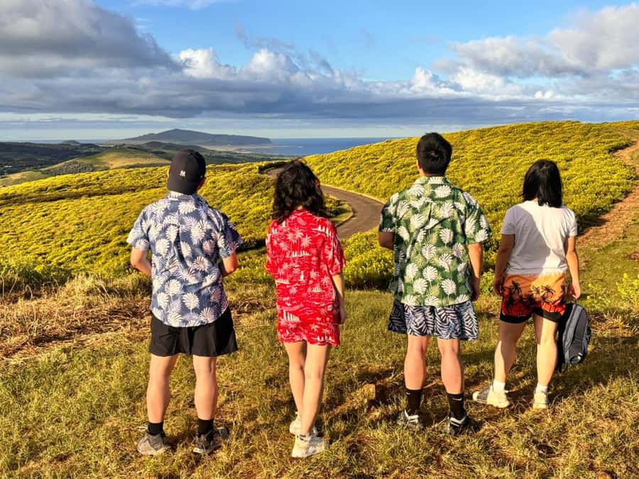 Rapa Nui: 3 Excursions with Hotel Transfers - Puna Pau, Ahu Akivi, and Tahai in one afternoon