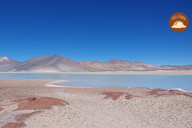 Red Stones and Altiplanic Lagoons - Why Piedras Rojas is the visual centerpiece