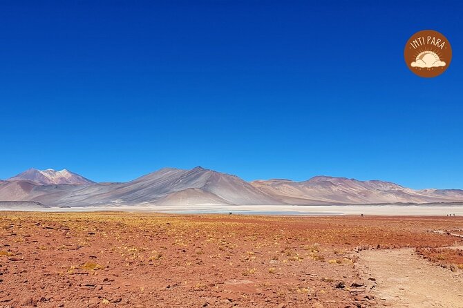 Red Stones and Altiplanic Lagoons - Chaxa Lagoon and the Salar de Atacama