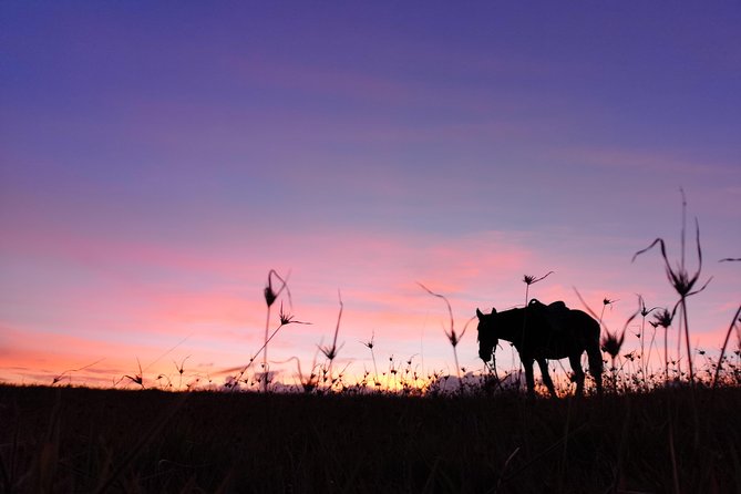 Ride to the highest point on the island for sunset - The summit pause at Maunga Terevaka