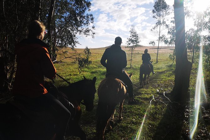 Ride to the highest point on the island for sunset - Practical tips for a smoother evening