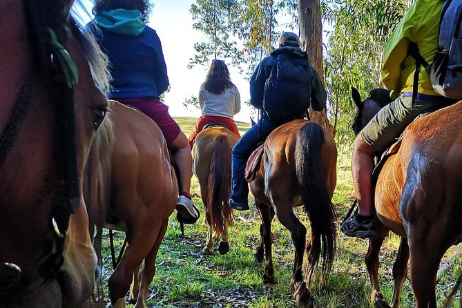 Ride to the highest point on the island for sunset - Returning through the trees after sunset