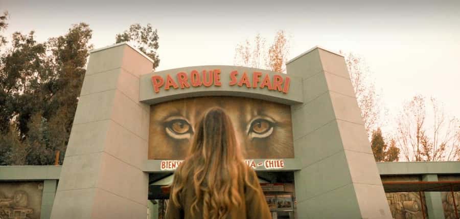 SAFARI PARK-TOUR RANCAGUA : CHILE - What the nine-hour day looks like