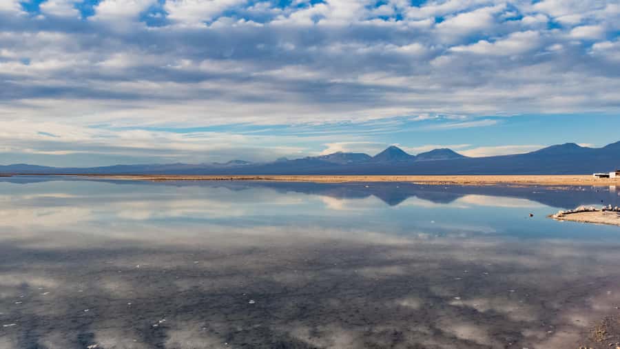 Salar de Atacama and altiplanic lagoons - A high-altitude morning from San Pedro