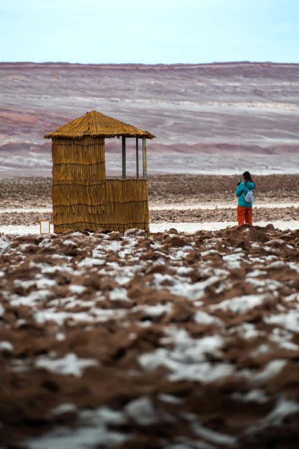San Pedro Atacama: Baltinache Lagoons - Floating in intensely salty water