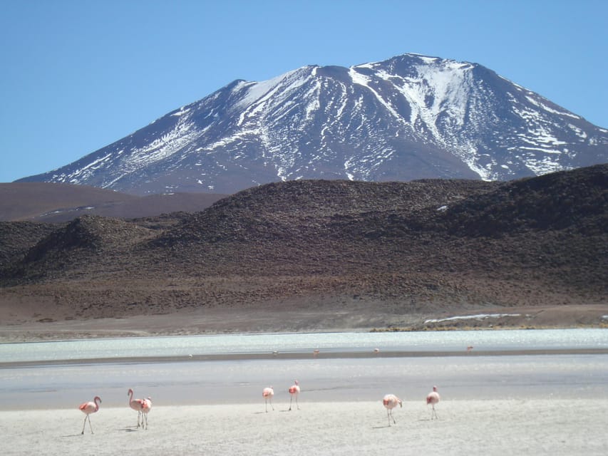 San Pedro de Atacama: 3 D. Tour Uyuni and Back to San Pedro - Who should book this journey