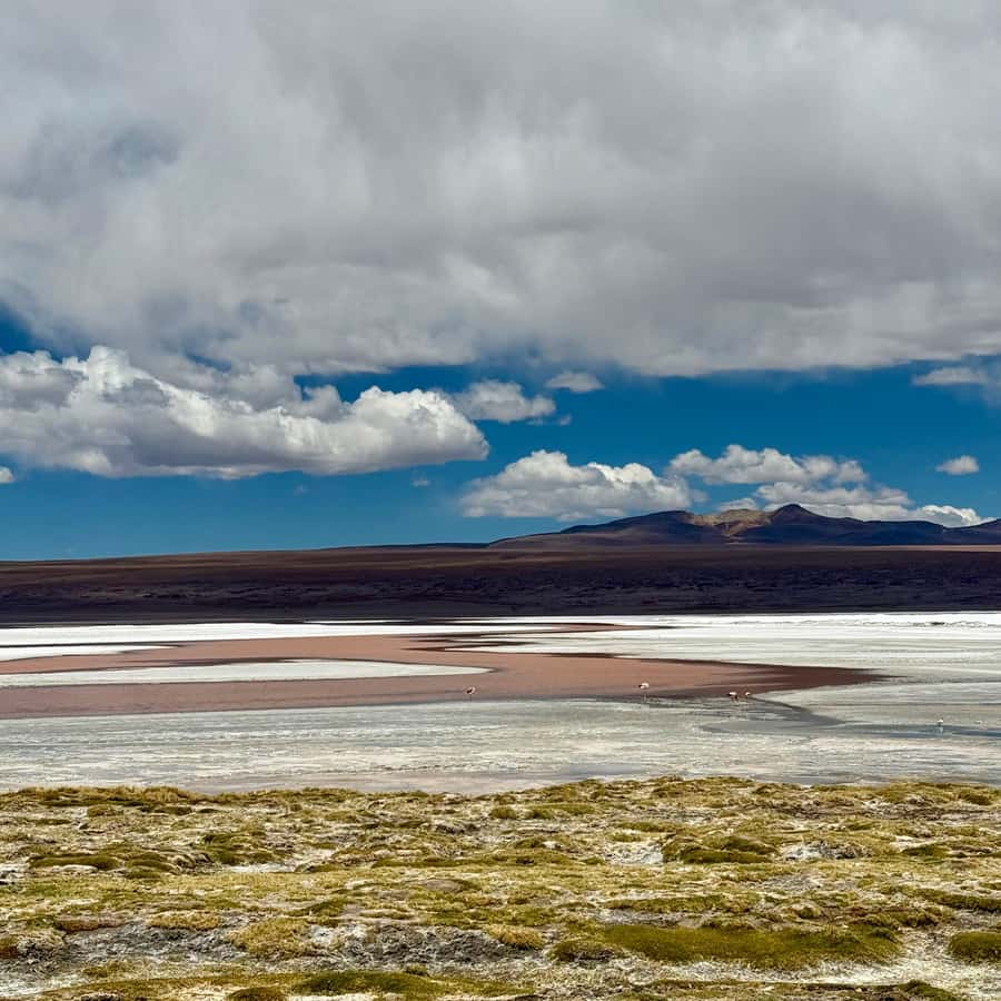 San Pedro de Atacama: 3 D. Tour Uyuni and Back to San Pedro - Guides, drivers, and the small-car advantage
