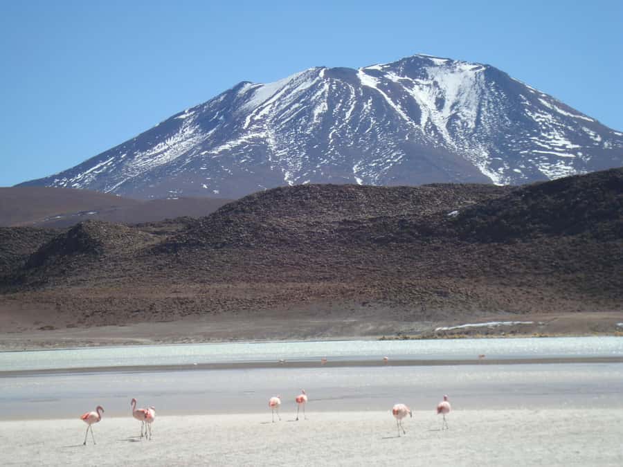 San Pedro de Atacama: 3 D. Tour Uyuni and Back to San Pedro - Day one: from San Pedro to red water and flamingos