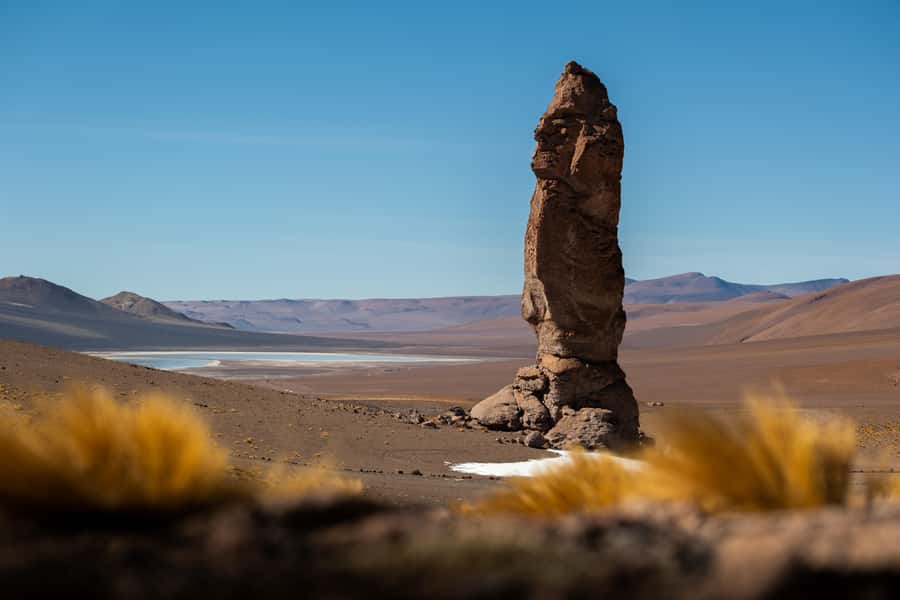 San Pedro de Atacama: Atacama Desert and Salt Flats Day Trip - Quepiacó River and the Atacama’s living side
