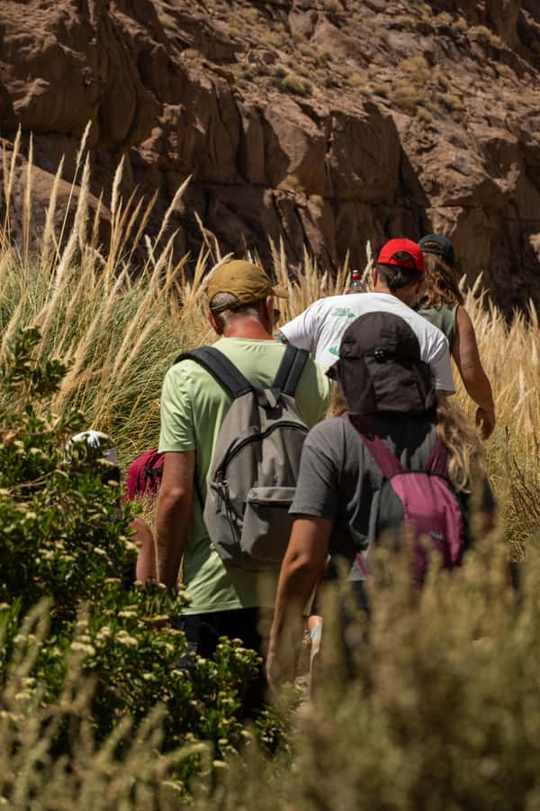 San Pedro de Atacama: Canyon Swimming Pools Trekking Trip - The 40-minute trek through the canyon