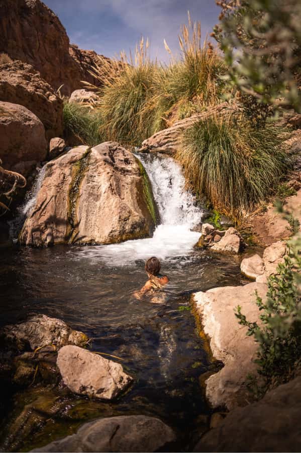 San Pedro de Atacama: Canyon Swimming Pools Trekking Trip - What the guide adds to the experience