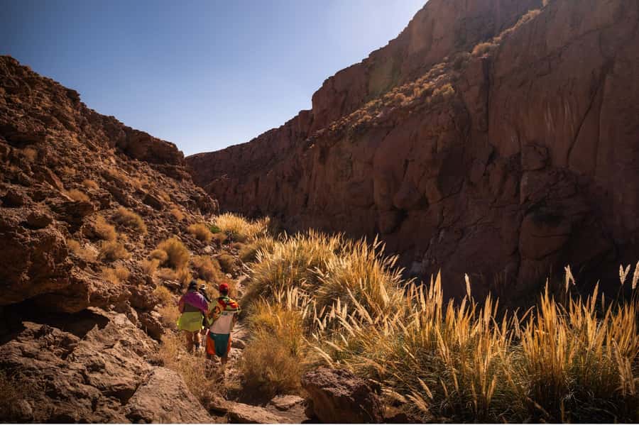 San Pedro de Atacama: Canyon Swimming Pools Trekking Trip - Is the $53 price good value?