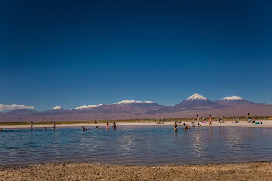 San Pedro de Atacama: Cejar Lagoon, Tebenquiche & Ojos Salar - Three Salt-Water Stops South of San Pedro
