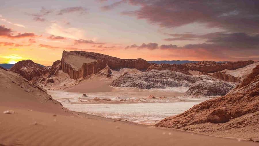 San Pedro de Atacama Day Trip: Atacama Desert and Salt Flats - White salt at Salinas de Aguas Calientes and Quisquiro