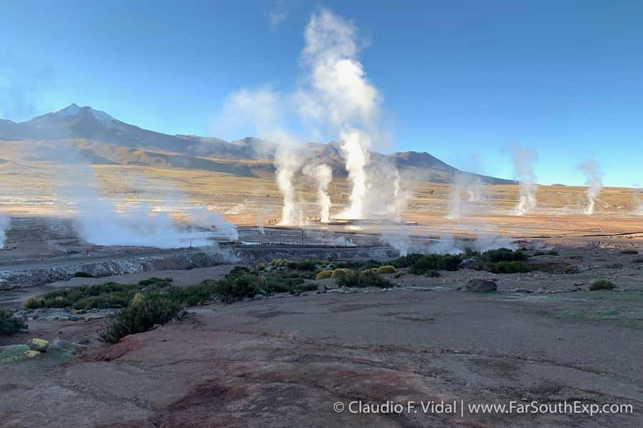 San Pedro de Atacama: El Tatio Geyser Field and Wetlands - El Tatio’s more than 80 active geysers