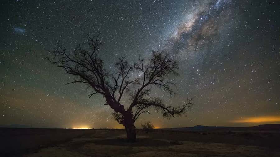 San Pedro de Atacama: Guided Atacama Desert Stargazing Tour - Why the Atacama sky is worth seeing