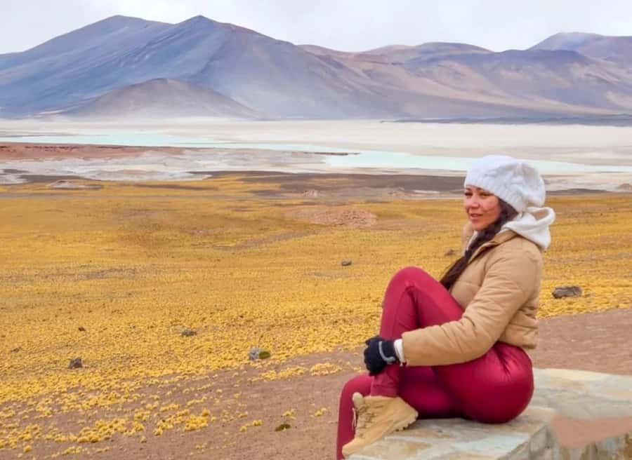San Pedro de Atacama: Piedras Rojas and Lagunas Altiplanica - The Tropic of Capricorn photo stop