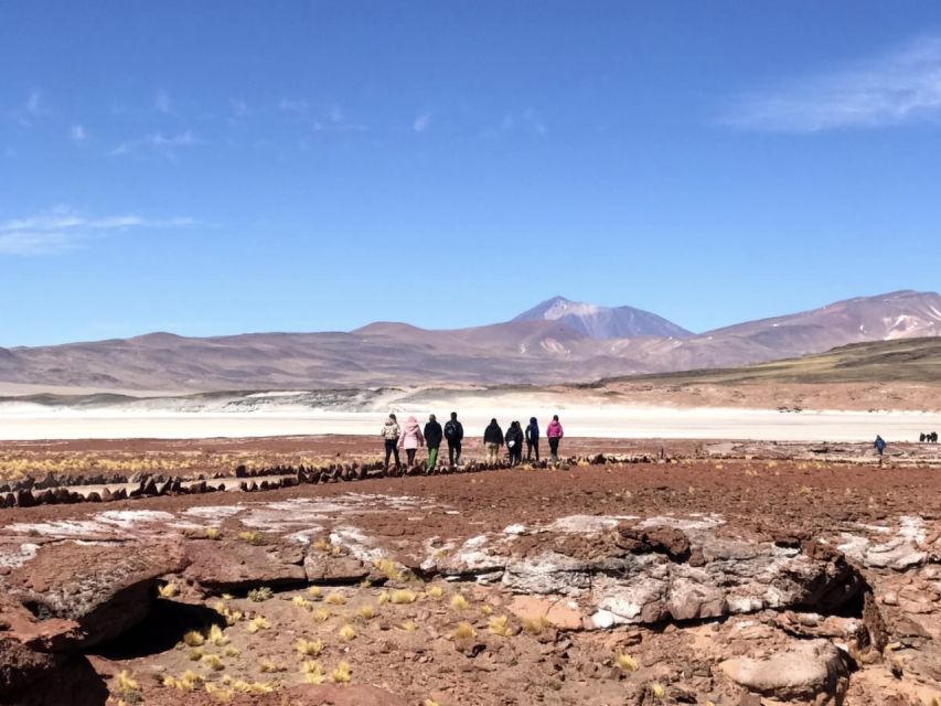 San Pedro de Atacama: Red Rocks & Altiplano Lagoons Day Trip - Who should book this Atacama day trip?