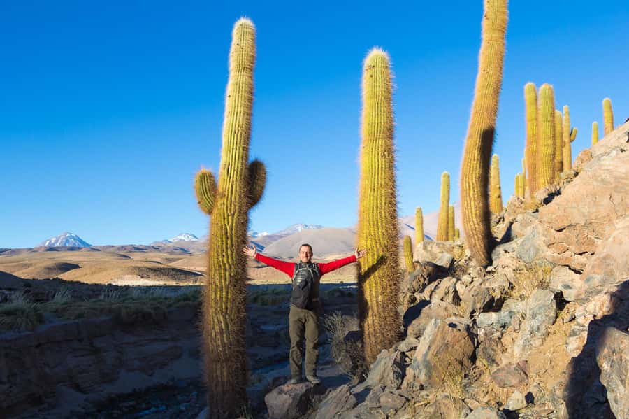 San Pedro de Atacama: Saver Pack Tatio Geysers + Moon Valley - Sunset over the desert