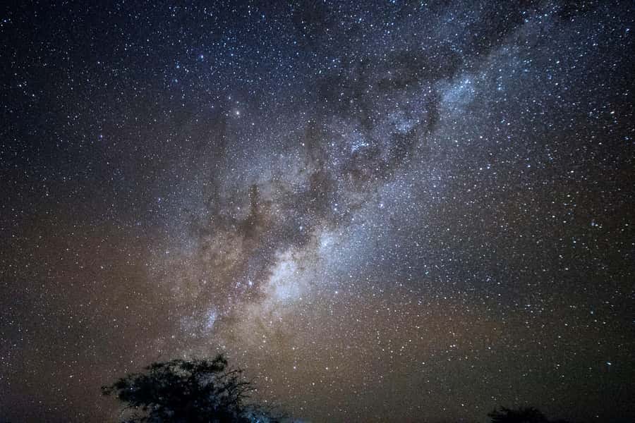San Pedro de Atacama: Stargazing Experience - Key things to know before you book