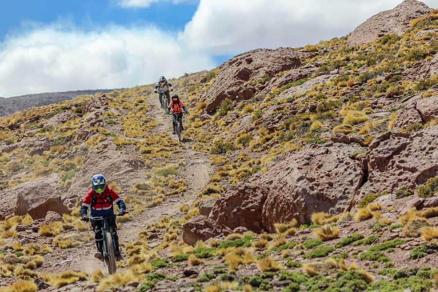 San Pedro de Atacama: Volcano Downhill Bike Tour - Volcano views and the feeling of riding another planet