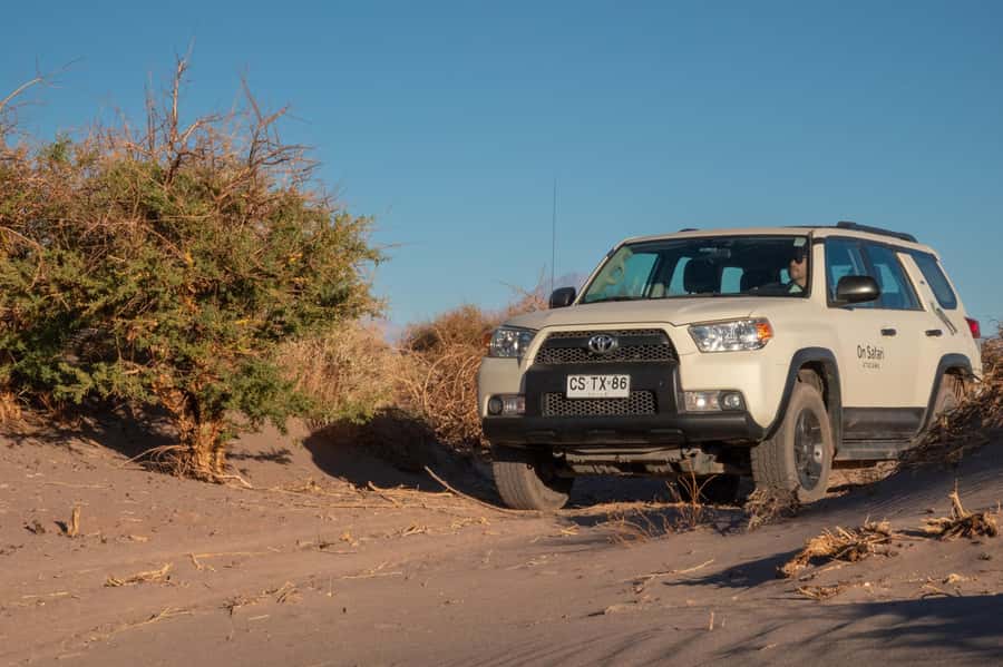 San Pedro de Atacama: Wildlife Safari and Photography Tour - Who should book this tour?