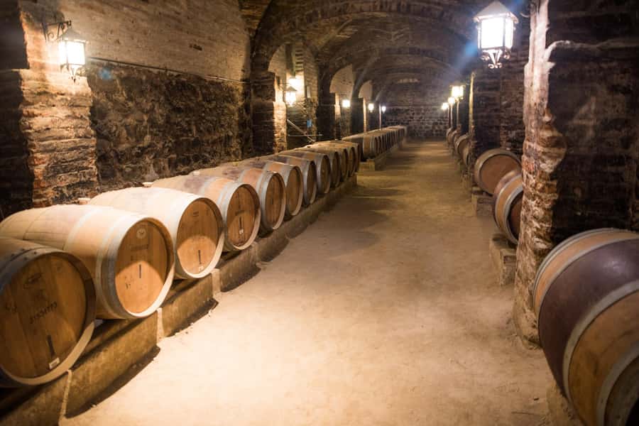 Santa Rita: Tour + Premium Wine Tasting + Private Transport - Key details at a glance
