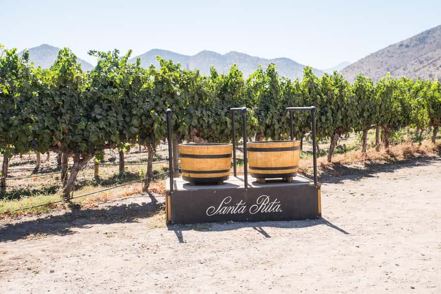 Santa Rita: Tour + Premium Wine Tasting + Private Transport - The Santa Rita estate and its historic corners