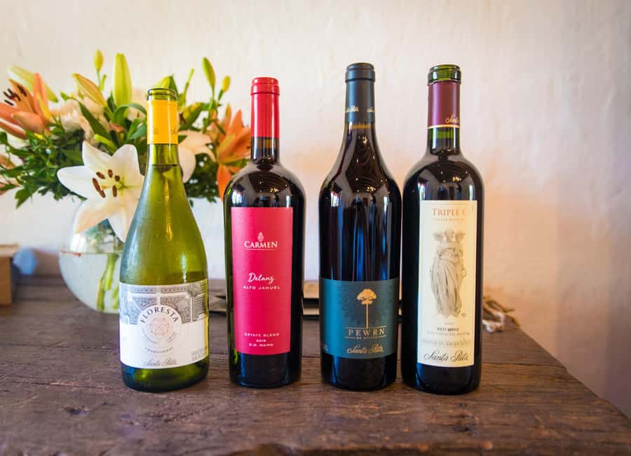 Santa Rita: Tour + Premium Wine Tasting + Private Transport - What the private format really includes