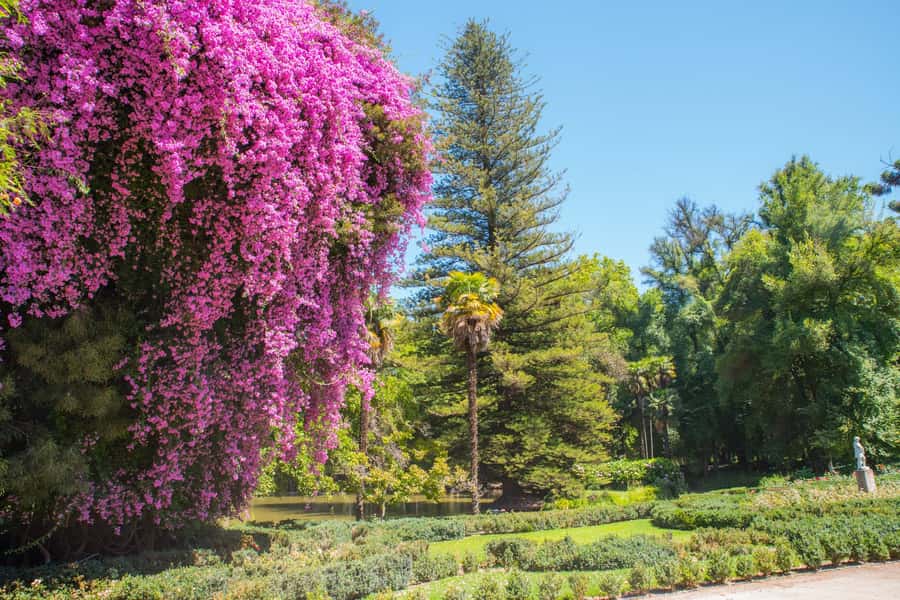 Santa Rita: Tour + Premium Wine Tasting + Private Transport - Leaving Santiago in a private white van