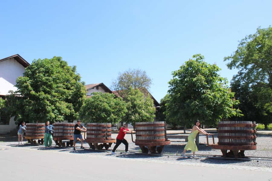 Santa Rita Vineyard Tour: History, Wine, and Outdoor Picnic - Who should book Santa Rita