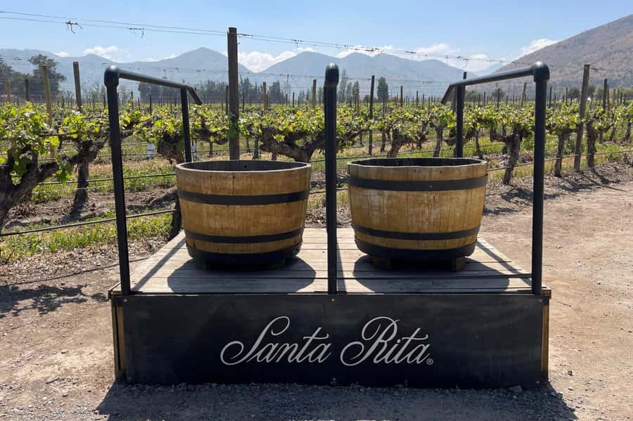 Santa Rita Vineyard Tour: History, Wine, and Outdoor Picnic - Why Santa Rita makes a strong day trip from Santiago