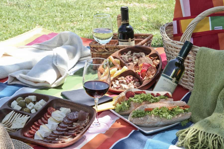Santa Rita Vineyard Tour: History, Wine, and Outdoor Picnic - Riding through the vineyard for 45 minutes