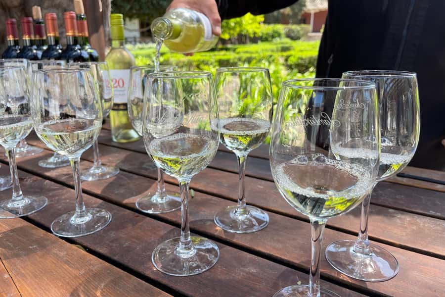 Santa Rita Vineyard Tour: History, Wine, and Outdoor Picnic - A long picnic among the vines