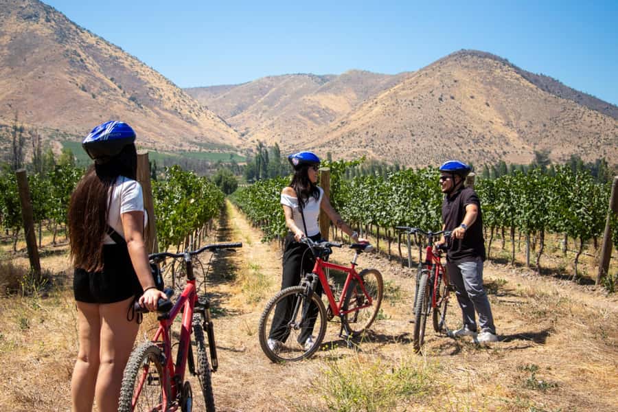 Santa Rita Vineyard Tour with Lunch, an Unforgettable Day! - The 120 Patriots’ Cellar and the story behind it
